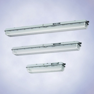 Светильник для  люминесцентных ламп,  серия EXLUX 6000 (зона 1),  серия EXLUX 6400  (зоны 2, 21 и 22)